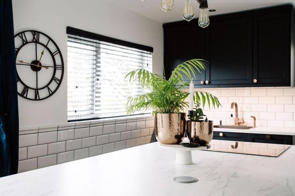 Modern & Stylish Home In The Heart Of เบลฟาสต์ ภายนอก รูปภาพ